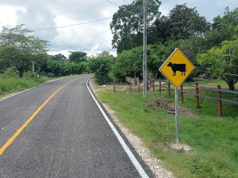 20/01, 14:01:12, 1.png