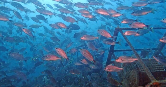 22/01, 15:24:55, 3.png