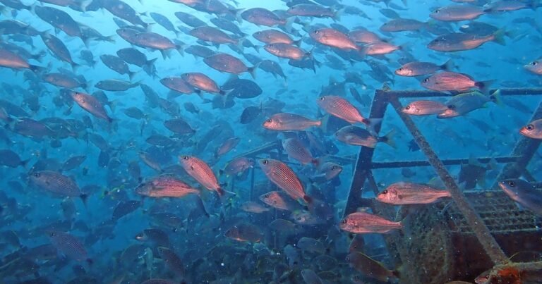 22/01, 15:24:55, 3.png