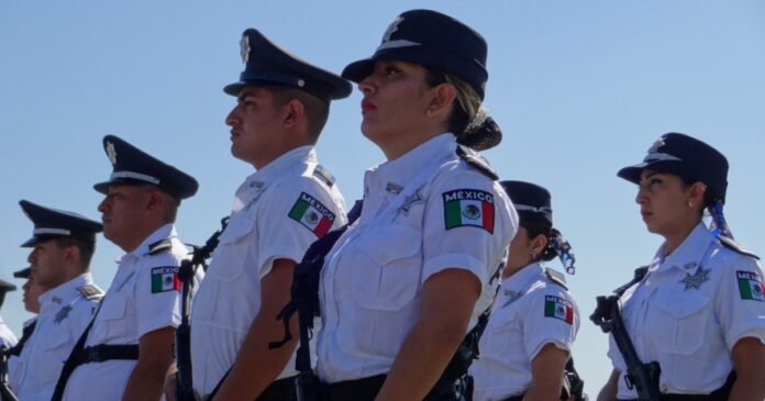 22/01, 15:24:55, 8.png