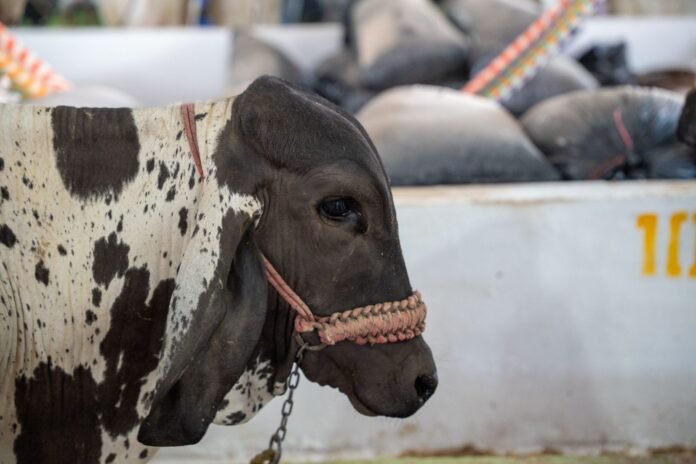 26/01, 13:41:22, 1.png