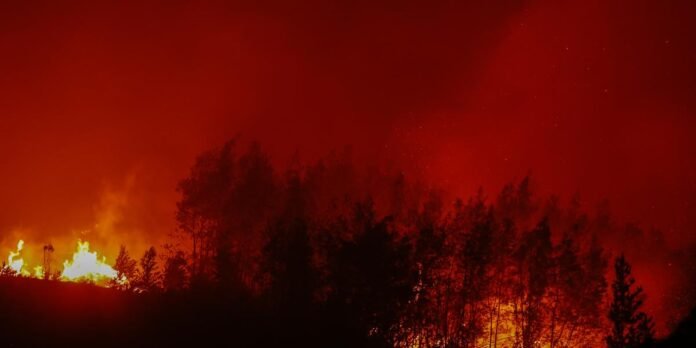 26/01, 18:17:11, 1.png