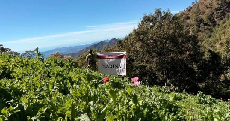 28/01, 11:11:58, 5.png