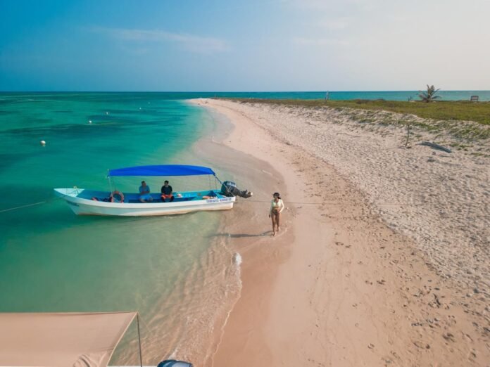 11/02, 11:11:37, 1.png