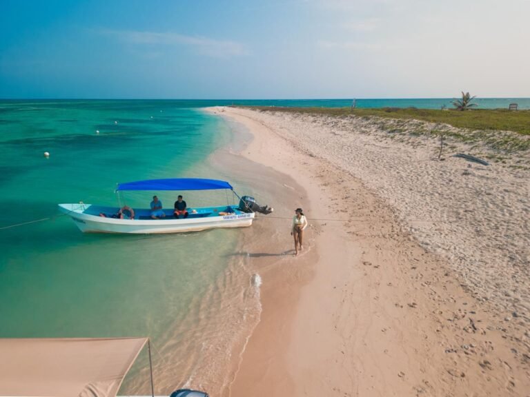 11/02, 11:11:37, 1.png