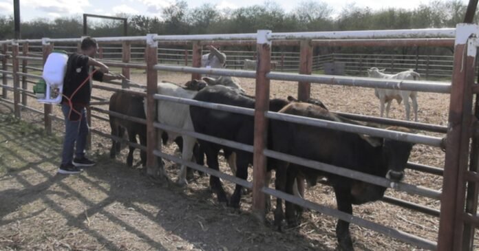 12/02, 17:50:47, 5.png 12/02, 17:50:47, 5.png