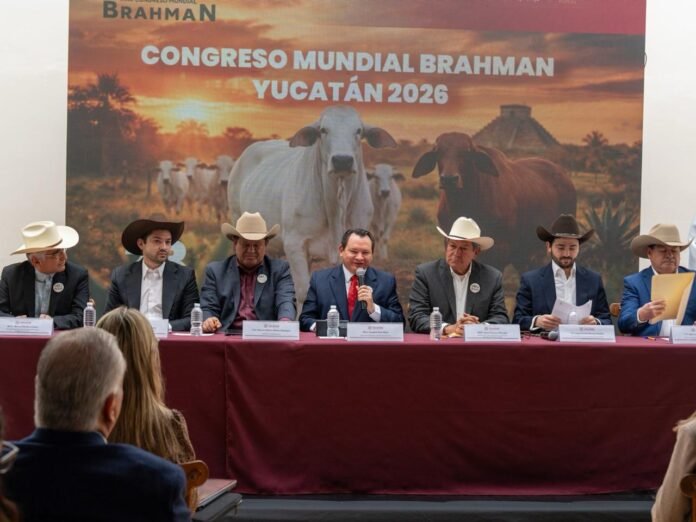 24/02, 12:33:34, 1.png