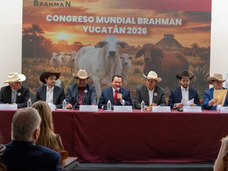 24/02, 12:33:34, 1.png