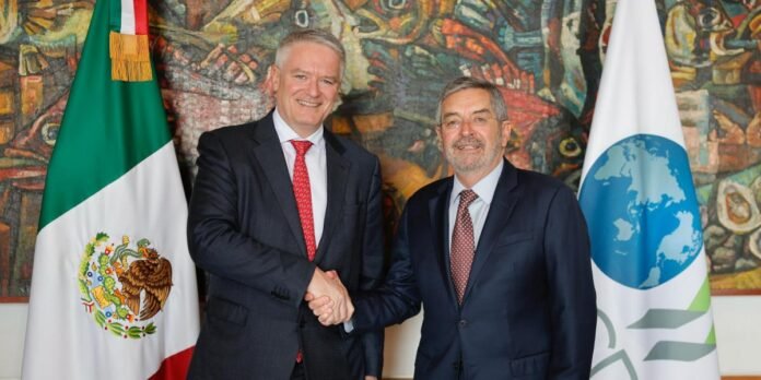 26/02, 13:03:56, 1.png