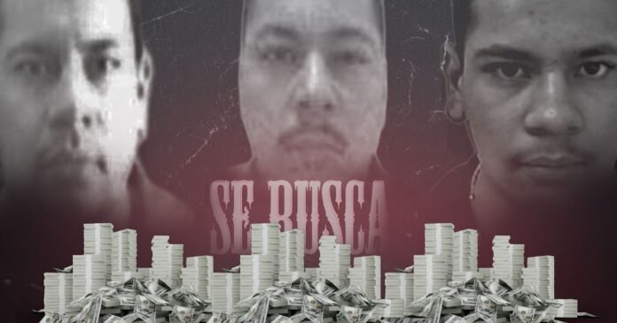 26/02, 15:50:24, 7.png