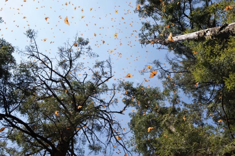 02/03, 11:22:48, 3.png