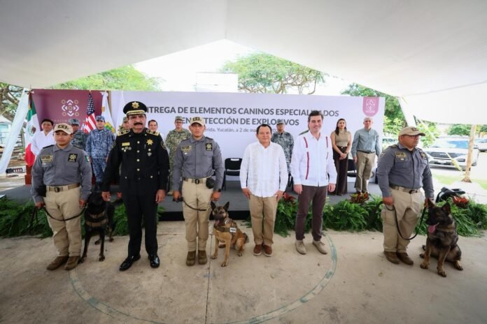 03/03, 11:18:57, 2.png 03/03, 11:18:57, 2.png