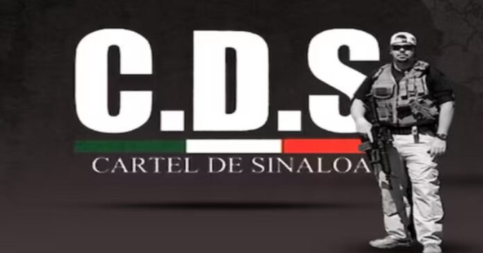 03/03, 13:42:26, 1.png 03/03, 13:42:26, 1.png