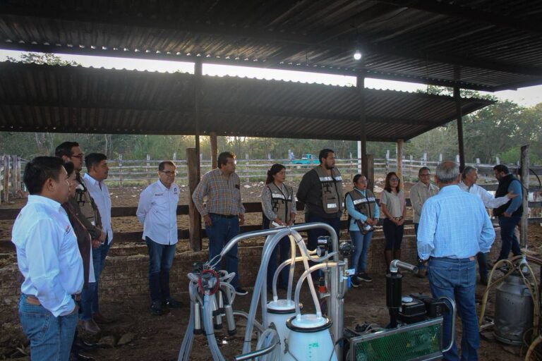 04/03, 12:01:36, 1.png