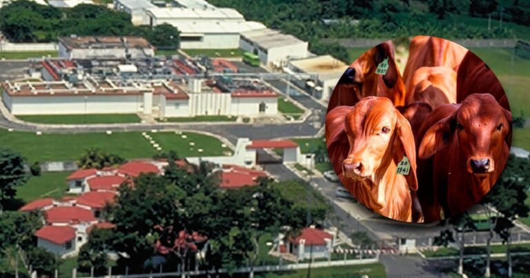 09/03, 12:09:58, 3.png