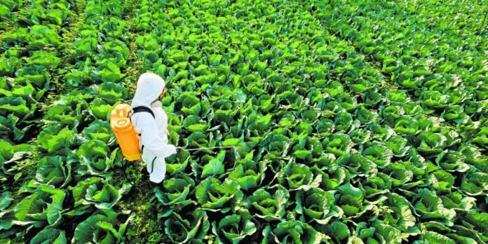 17/03, 10:32:30, 5.png