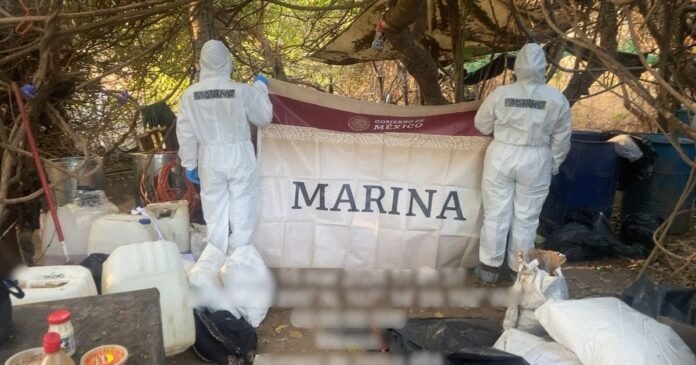 17/03, 10:34:01, 12.png