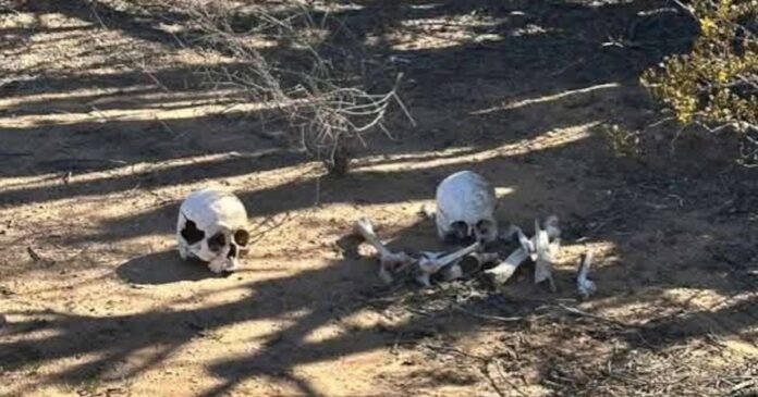 17/03, 10:34:01, 6.png