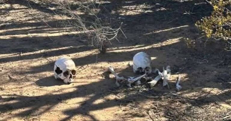 17/03, 10:34:01, 6.png