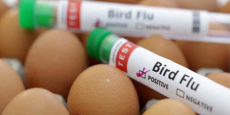 19/03, 10:27:36, 15.png