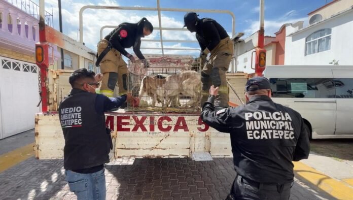 24/03, 15:13:50, 5.png