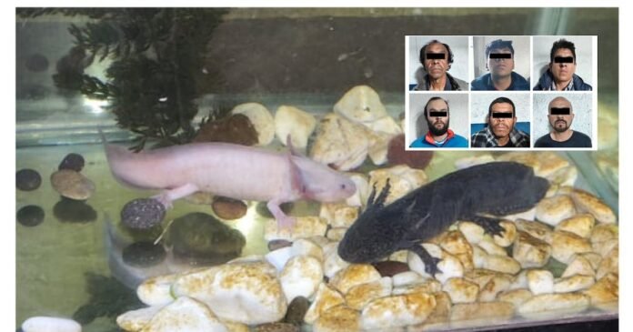 26/03, 15:31:16, 7.png