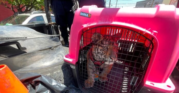 26/03, 16:53:29, 3.png 26/03, 16:53:29, 3.png