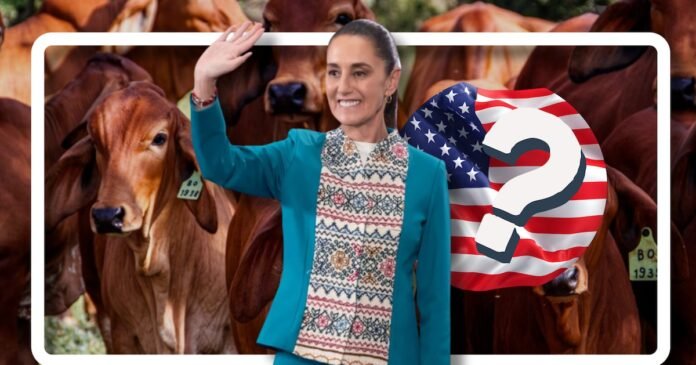 31/03, 11:02:18, 1.png