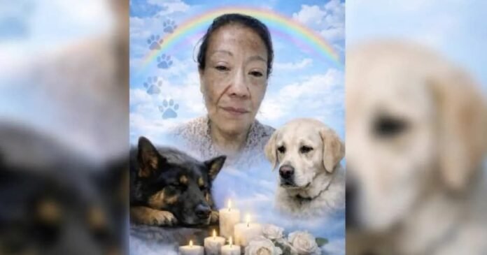 31/03, 13:21:51, 1.png