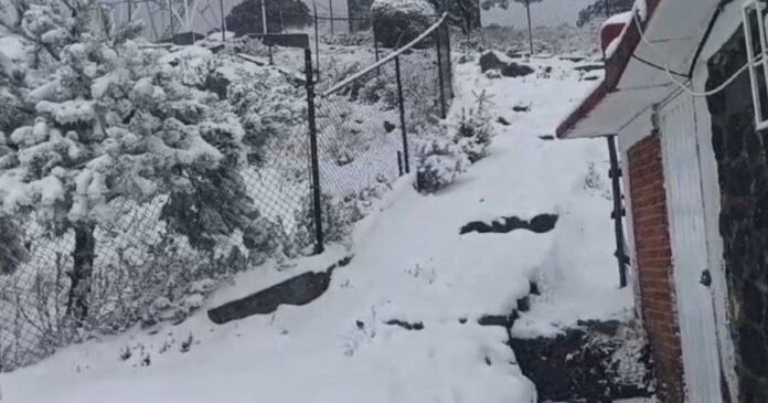 31/03, 17:21:55, 3.png 31/03, 17:21:55, 3.png