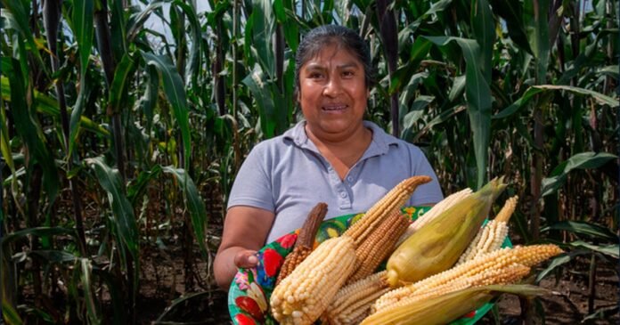 31/03, 17:41:23, 1.png