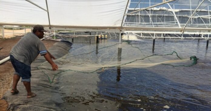 01/04, 16:21:13, 1.png