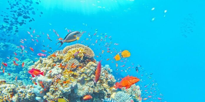 06/04, 16:21:10, 1.png