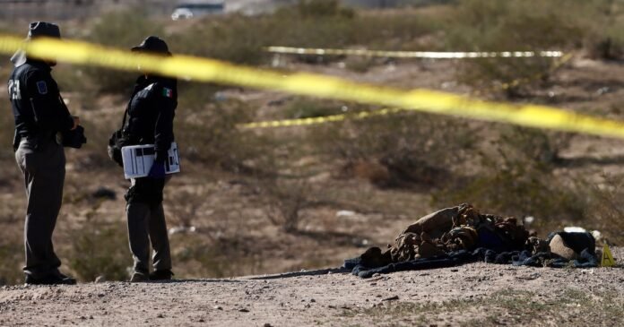 08/04, 14:22:03, 5.png