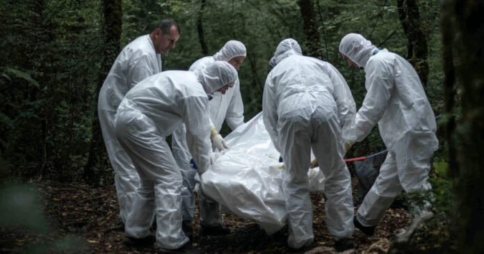 15/04, 12:02:31, 2.png