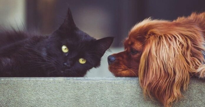 15/04, 12:22:37, 2.png