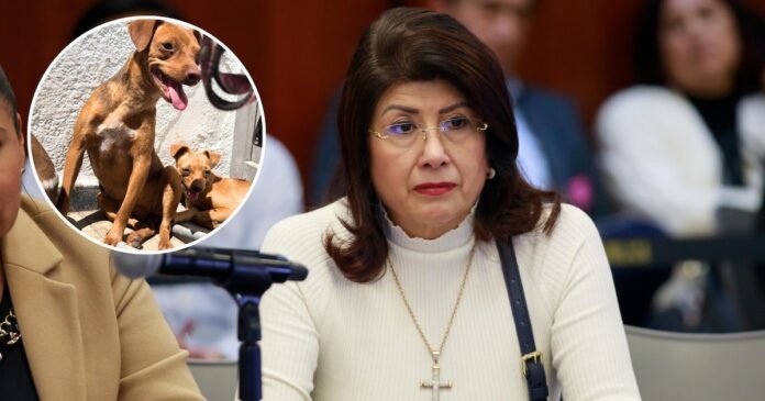 15/04, 15:01:49, 1.png