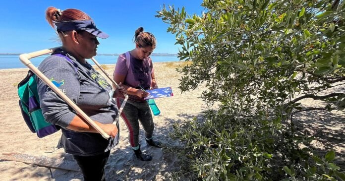 16/04, 17:21:14, 1.png