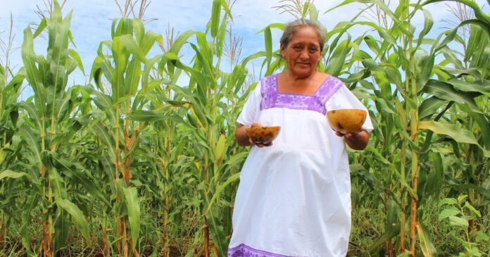 16/04, 20:00:40, 1.png