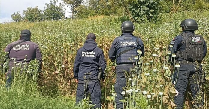 16/04, 21:01:16, 2.png